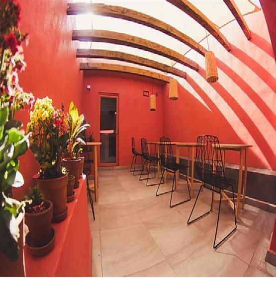 Lu De Anda Hotel Boutique サン・ルイス・ポトシ エクステリア 写真